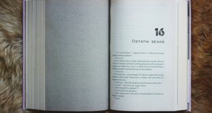 Turgutreis'te Son Gelişmeler ve Etkinlikler